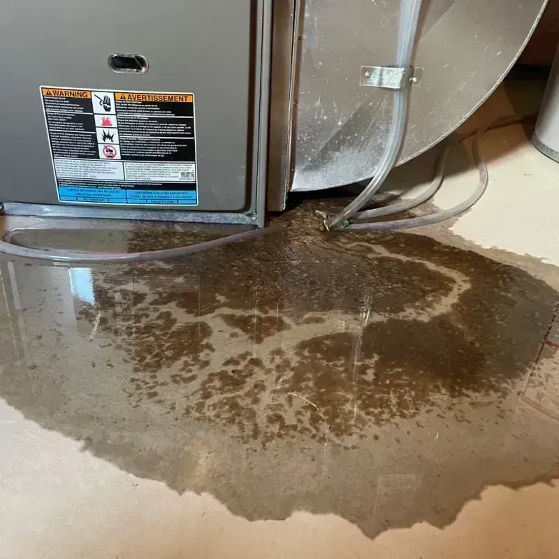 Appliance Leak Cleanup in Eureka, IL